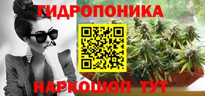гашик Владивосток